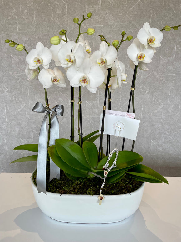 Arreglo de orquídeas grande en canoa blanca